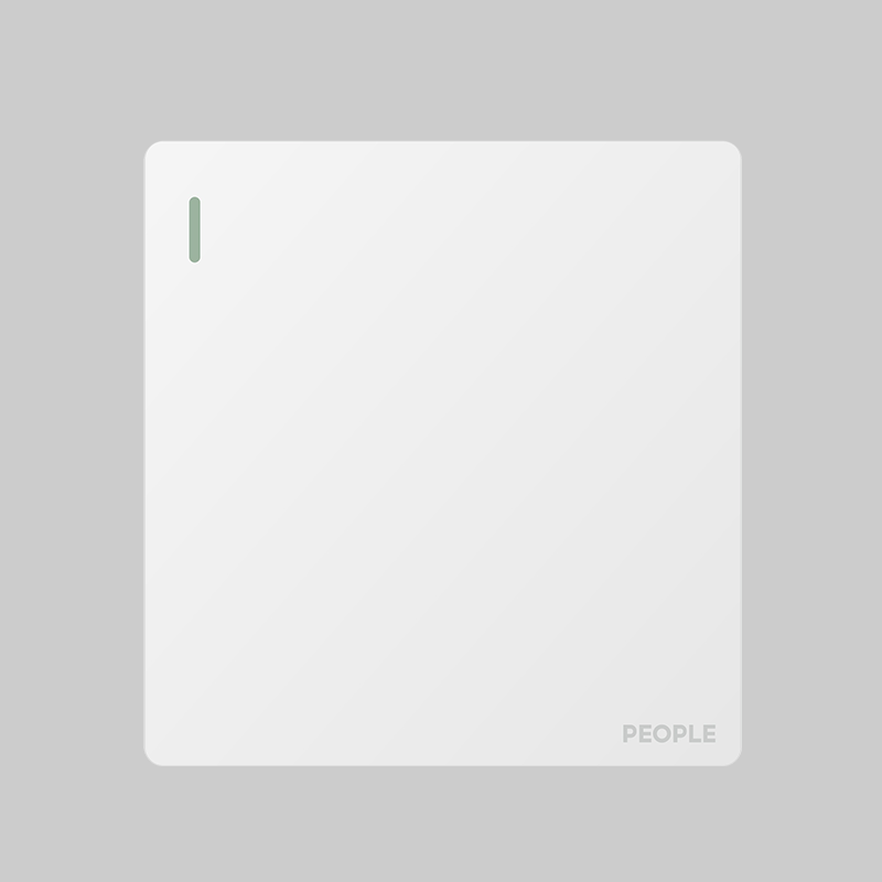 南宫NG·28相信品牌力量一联开关(R86E5) 