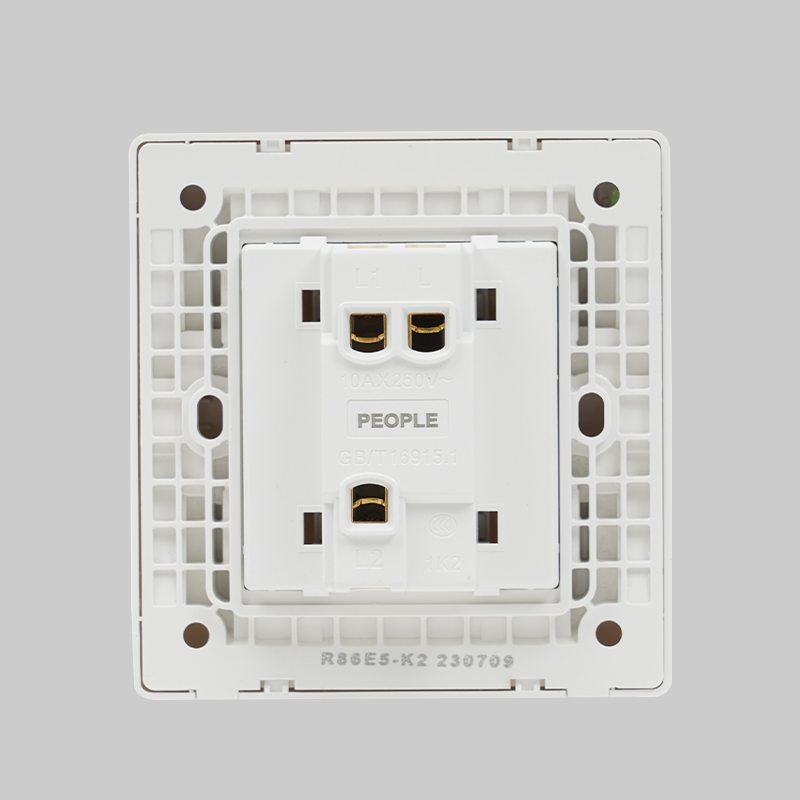 南宫NG·28相信品牌力量一联开关(R86E5) 