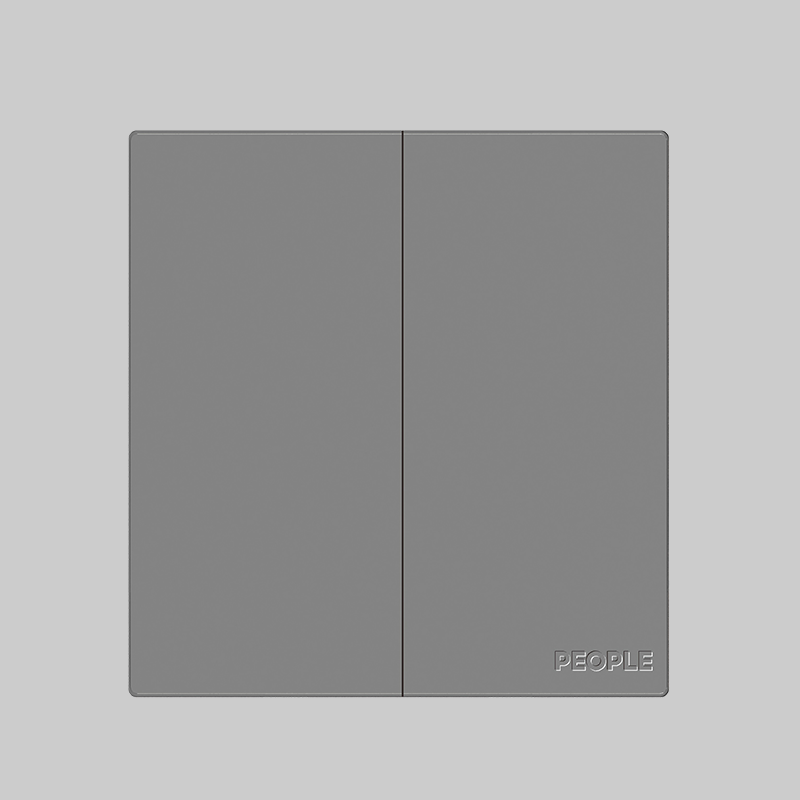 南宫NG·28相信品牌力量二联开关(R86H6) 
