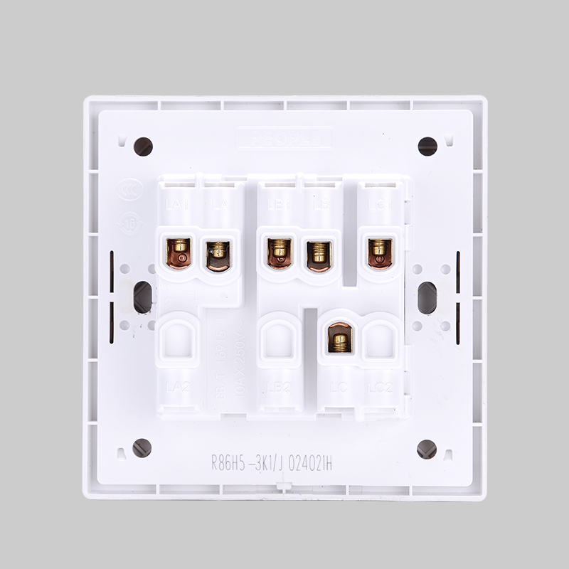 南宫NG·28相信品牌力量三开开关(R86H5) 